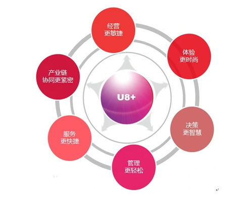 探究用友U8財(cái)務(wù)管理軟件價(jià)格與廣告代理業(yè)務(wù)