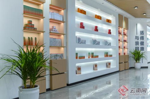解鎖資源經濟發展新密碼 云南屏邊縣引進發展天然蝦青素大健康產業紀實